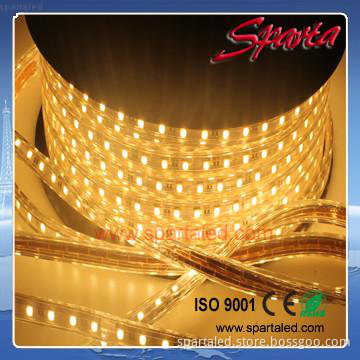 IP67 Flexible Waterproof 60 LED strip light 220v Christmas lighting